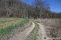 VBS_8881- Risvegli